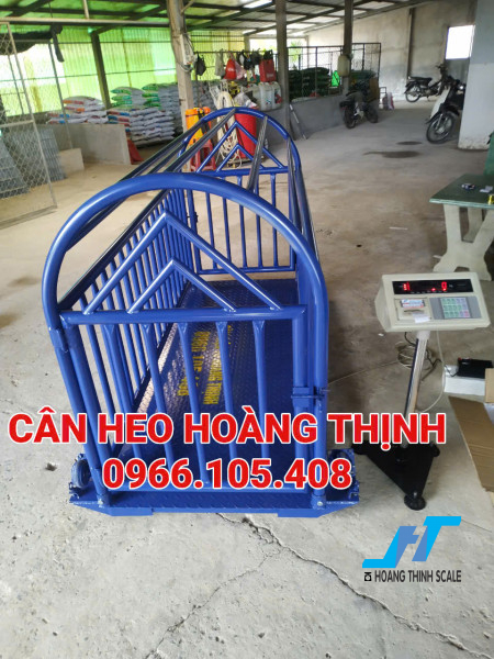 Cân điện tử cân heo 500kg in hóa đơn